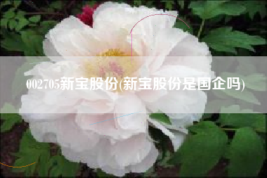 002705新宝股份(新宝股份是国企吗)