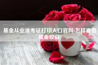 基金从业准考证打印入口官网(怎样查看基金收益)