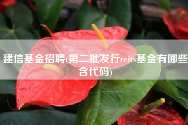 建信基金招聘(第二批发行reits基金有哪些含代码)