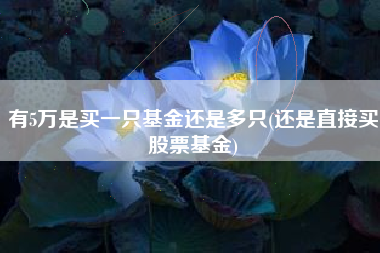 有5万是买一只基金还是多只(还是直接买股票基金)
