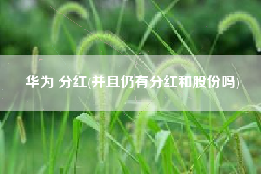华为 分红(并且仍有分红和股份吗)