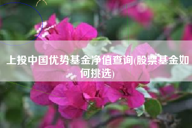 上投中国优势基金净值查询(股票基金如何挑选)