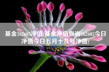 基金162605净值(基金净值查询162605今日净值今日五月十九号净值)