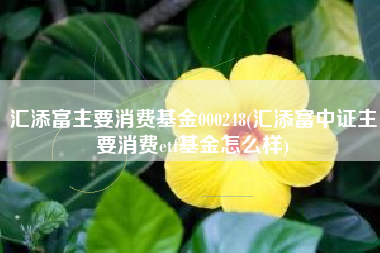 汇添富主要消费基金000248(汇添富中证主要消费etf基金怎么样)