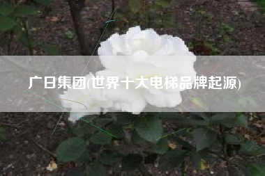 广日集团(世界十大电梯品牌起源)