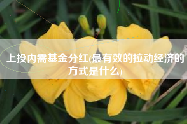 上投内需基金分红(最有效的拉动经济的方式是什么)