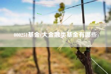 000251基金(大金融类基金有哪些)