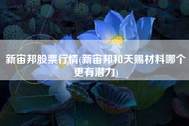 新宙邦股票行情(新宙邦和天赐材料哪个更有潜力)