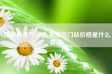 国际天然气价格(天然气门站价格是什么意思)