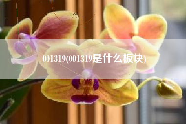 001319(001319是什么板块)
