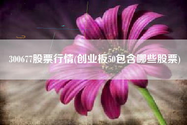 300677股票行情(创业板50包含哪些股票)