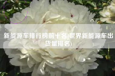 新能源车排行榜前十名(世界新能源车出货量排名)