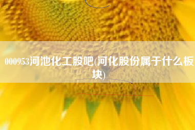 000953河池化工股吧(河化股份属于什么板块)