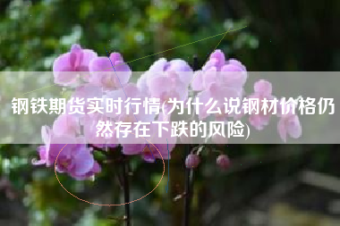 钢铁期货实时行情(为什么说钢材价格仍然存在下跌的风险)