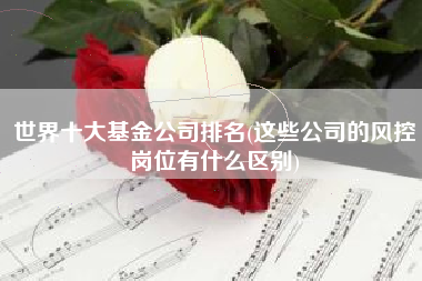 世界十大基金公司排名(这些公司的风控岗位有什么区别)