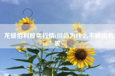 龙蟒佰利股票行情(川商为什么不够出名呢)