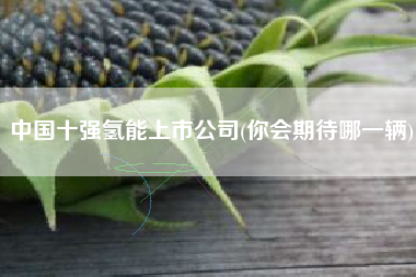 中国十强氢能上市公司(你会期待哪一辆)