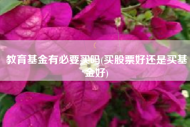 教育基金有必要买吗(买股票好还是买基金好)