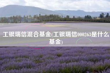 工银瑞信混合基金(工银瑞信000263是什么基金)