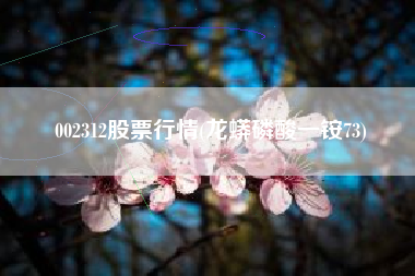 002312股票行情(龙蟒磷酸一铵73)