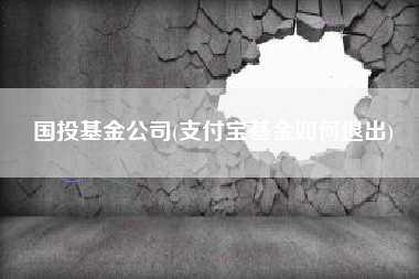 国投基金公司(支付宝基金如何退出)