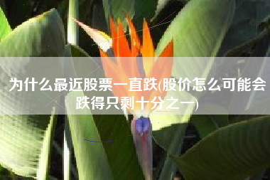 为什么最近股票一直跌(股价怎么可能会跌得只剩十分之一)