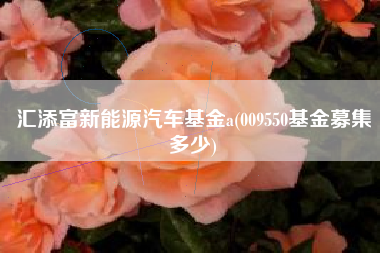 汇添富新能源汽车基金a(009550基金募集多少)