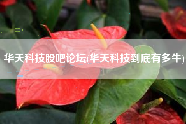华天科技股吧论坛(华天科技到底有多牛)
