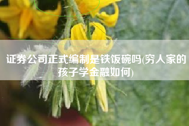 证券公司正式编制是铁饭碗吗(穷人家的孩子学金融如何)