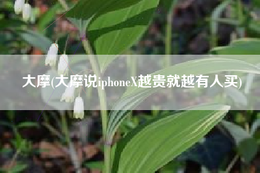 大摩(大摩说iphoneX越贵就越有人买)