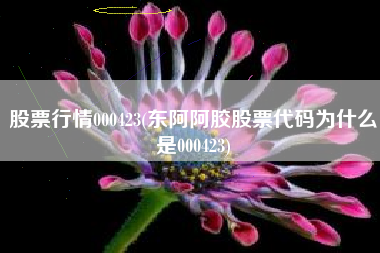 股票行情000423(东阿阿胶股票代码为什么是000423)