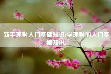 新手理财入门基础知识(学理财的入门基础知识)
