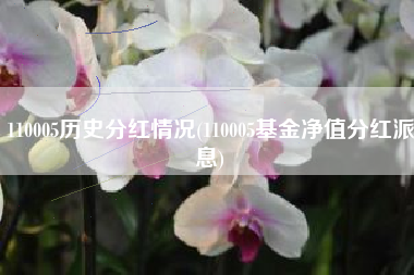 110005历史分红情况(110005基金净值分红派息)