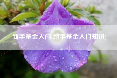 新手基金入门(新手基金入门知识)