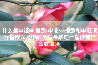 什么是中证500指数(中证500指数和中证银行指数以及中证全指金融地产指数有什么联系吗)