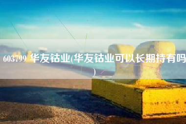 603799 华友钴业(华友钴业可以长期持有吗)