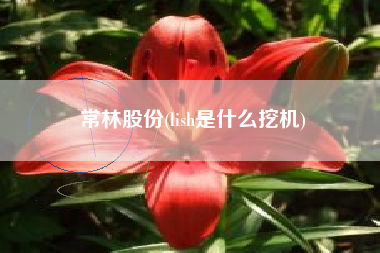 常林股份(lish是什么挖机)
