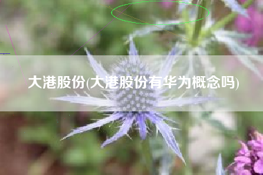 大港股份(大港股份有华为概念吗)