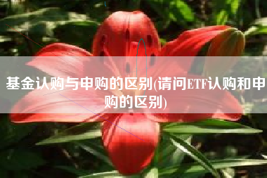 基金认购与申购的区别(请问ETF认购和申购的区别)