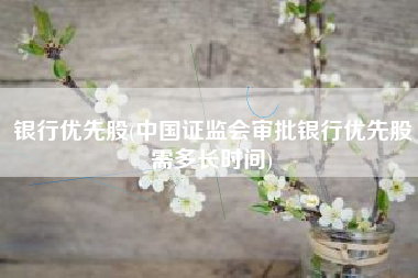 银行优先股(中国证监会审批银行优先股需多长时间)