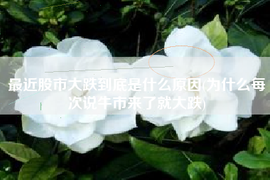 最近股市大跌到底是什么原因(为什么每次说牛市来了就大跌)