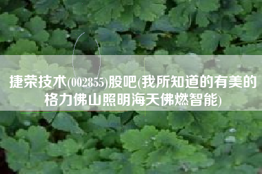 捷荣技术(002855)股吧(我所知道的有美的格力佛山照明海天佛燃智能)