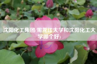 沈阳化工集团(黑龙江大学和沈阳化工大学哪个好)