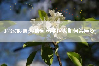 300267股票(尔康制药实控人如何筹巨资)