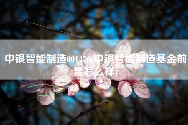 中银智能制造001476(中银智能制造基金前景怎么样)