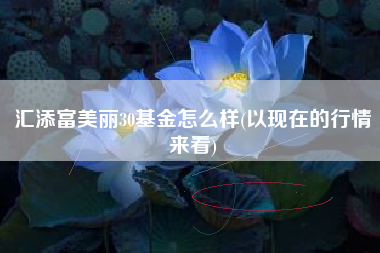 汇添富美丽30基金怎么样(以现在的行情来看)
