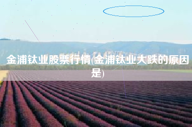 金浦钛业股票行情(金浦钛业大跌的原因是)