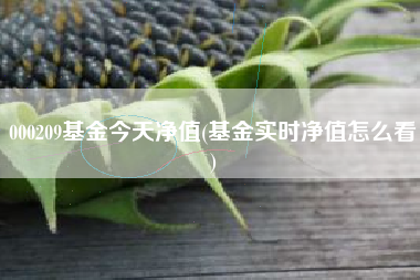 000209基金今天净值(基金实时净值怎么看)