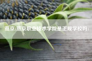 燕京(燕京职业技术学院是正规学校吗)