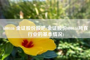 600446 金证股份股吧(金证股份600446所在行业的基本情况)